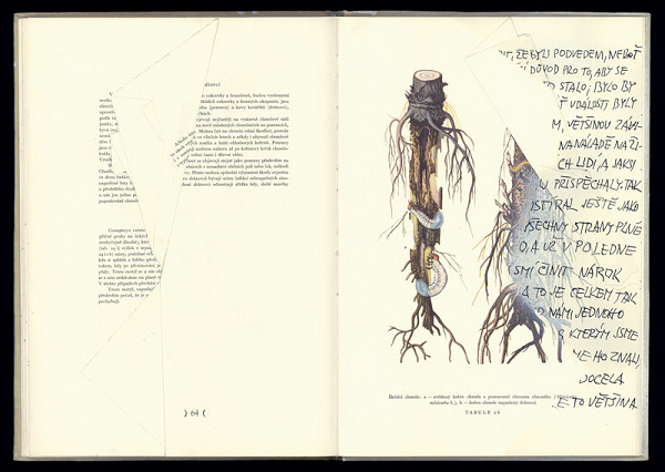 Dalibor Chatrný - Palimpsest II. (Robert Musil: Muž bez vlastností) 